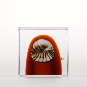 Annual Cube 2026 0149