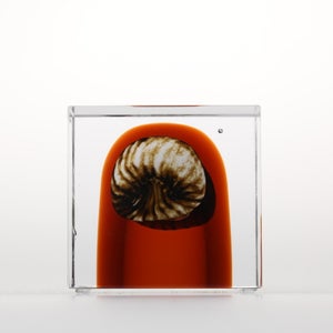 Annual Cube 2026 0150