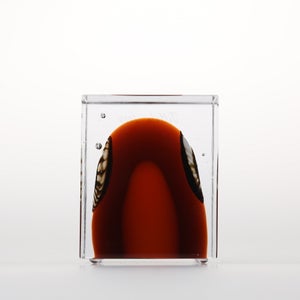 Annual Cube 2026 0003