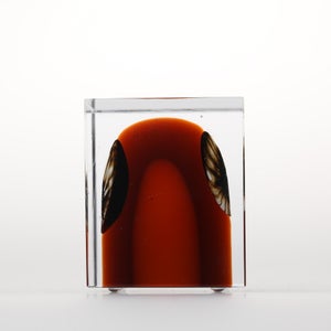 Annual Cube 2026 0008