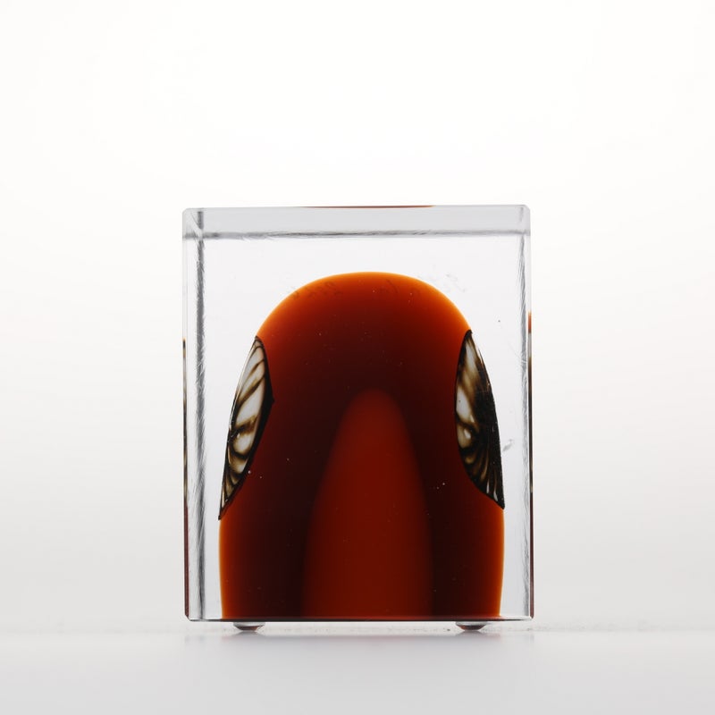1977年から続くアニュアルキューブ | iittala / Annual cube