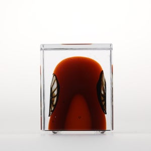 Annual Cube 2026 0028