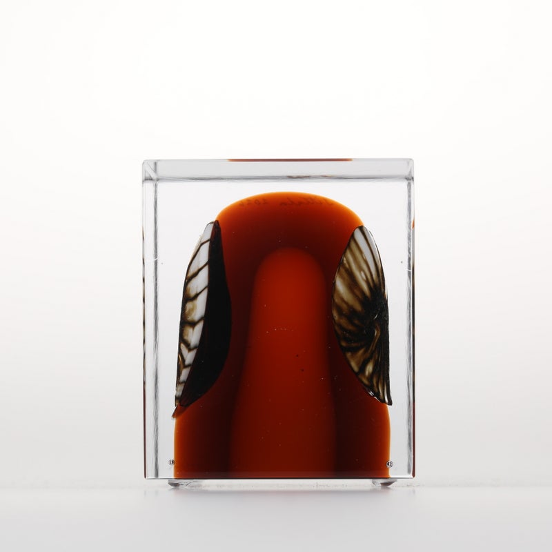 1977年から続くアニュアルキューブ | iittala / Annual cube