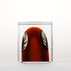 Annual Cube 2026 0032