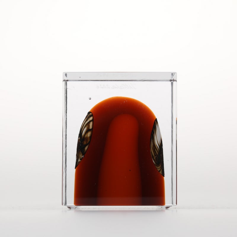 1977年から続くアニュアルキューブ | iittala / Annual cube