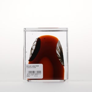 Annual Cube 2026 0113