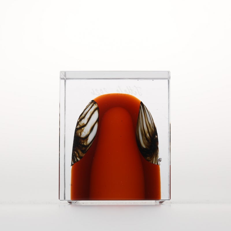イッタラ　アニュアルキューブ　2024年 1977年から続くアニュアルキューブ | iittala / Annual cube