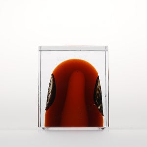 Annual Cube 2026 0136