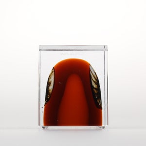 Annual Cube 2026 0146