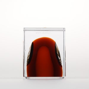 Annual Cube 2026 0147