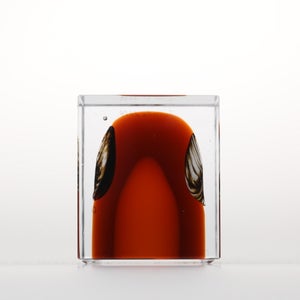 Annual Cube 2026 0150