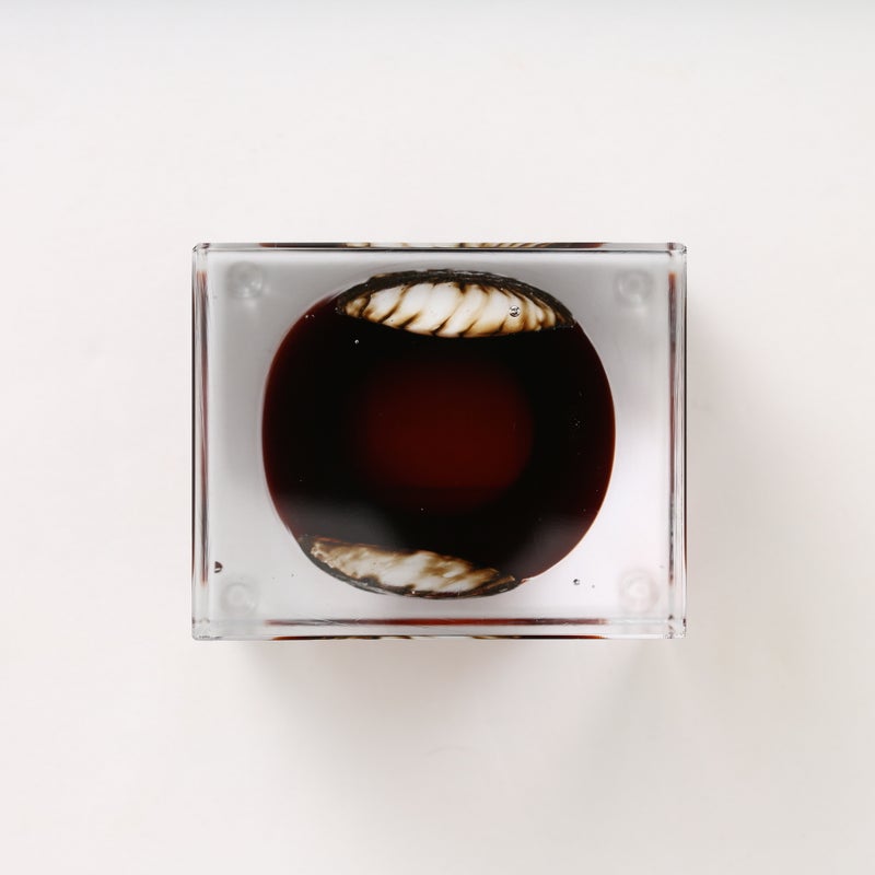 1977年から続くアニュアルキューブ | iittala / Annual cube