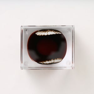 Annual Cube 2026 0127