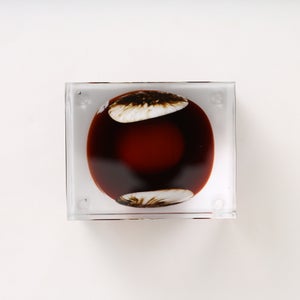 Annual Cube 2026 0142