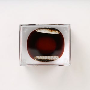 Annual Cube 2026 0147