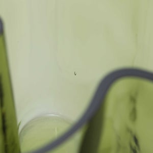 Aalto ベース 200mm フィニッシュサンド 0083