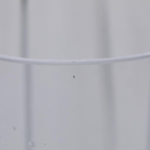 Aalto ベース120mm バブル クリア 0084