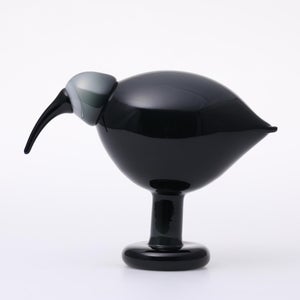 Birds Ibis ダークグレー 0011