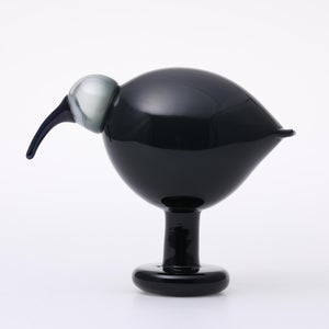 Birds Ibis ダークグレー 0017