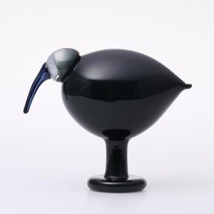 Birds Ibis ダークグレー 0020