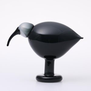 Birds Ibis ダークグレー 0029