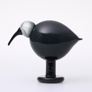 Birds Ibis ダークグレー 0032