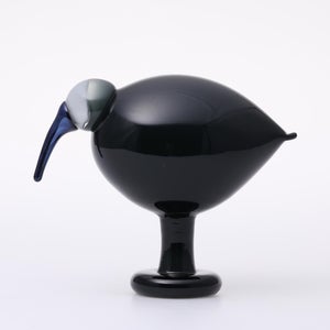 Birds Ibis ダークグレー 0033