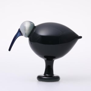 Birds Ibis ダークグレー 0035