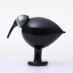 Birds Ibis ダークグレー 0036