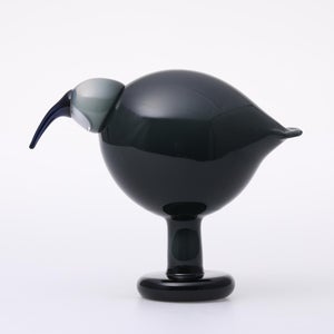 Birds Ibis ダークグレー 0041