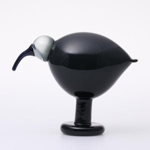 Birds Ibis ダークグレー 0042