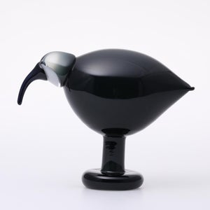 Birds Ibis ダークグレー 0045