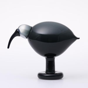 Birds Ibis ダークグレー 0048