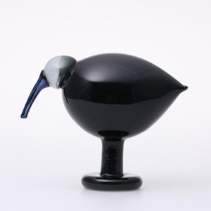 Birds Ibis ダークグレー 0052