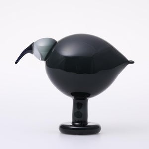 Birds Ibis ダークグレー 0053