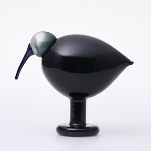 Birds Ibis ダークグレー 0054