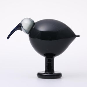 Birds Ibis ダークグレー 0057