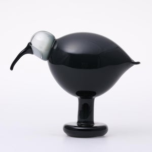 Birds Ibis ダークグレー 0058