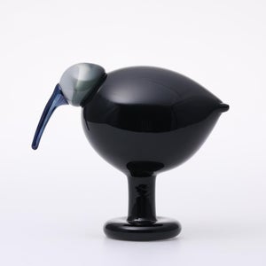 Birds Ibis ダークグレー 0059