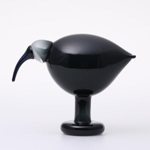 Birds Ibis ダークグレー 0060