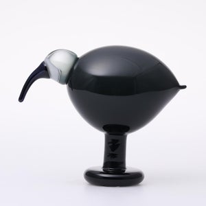 Birds Ibis ダークグレー 0063