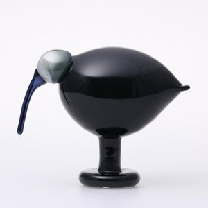 Birds Ibis ダークグレー 0064