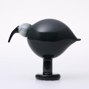 Birds Ibis ダークグレー 0065