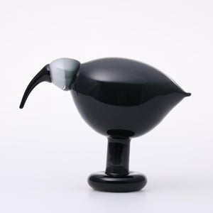 Birds Ibis ダークグレー 0067