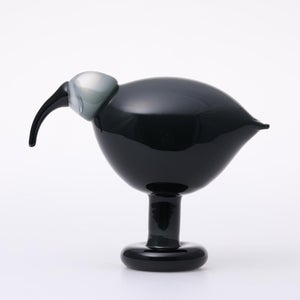 Birds Ibis ダークグレー 0068