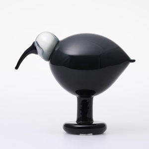 Birds Ibis ダークグレー 0070