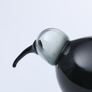 Birds Ibis ダークグレー 0058