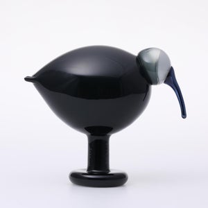 Birds Ibis ダークグレー 0003