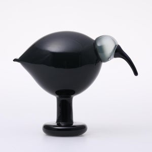 Birds Ibis ダークグレー 0017