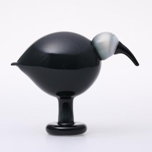 Birds Ibis ダークグレー 0019